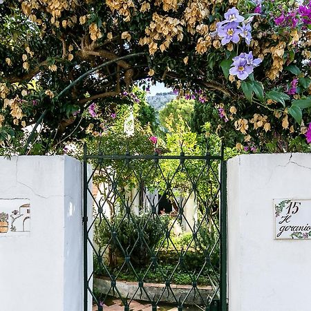 아나카프리 Il Geranio B&B 외부 사진