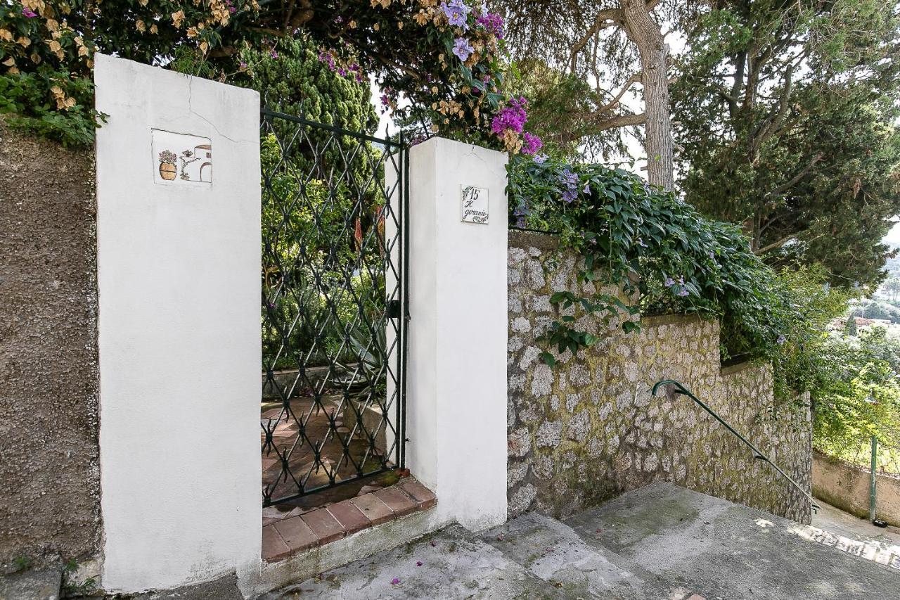 아나카프리 Il Geranio B&B 외부 사진